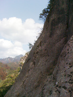 画像 543.jpg