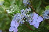 DSC_3470.jpg