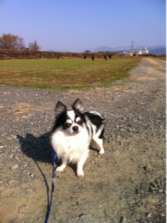 image-20101219135636.png