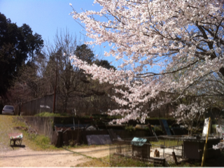 image-20110404121333.png